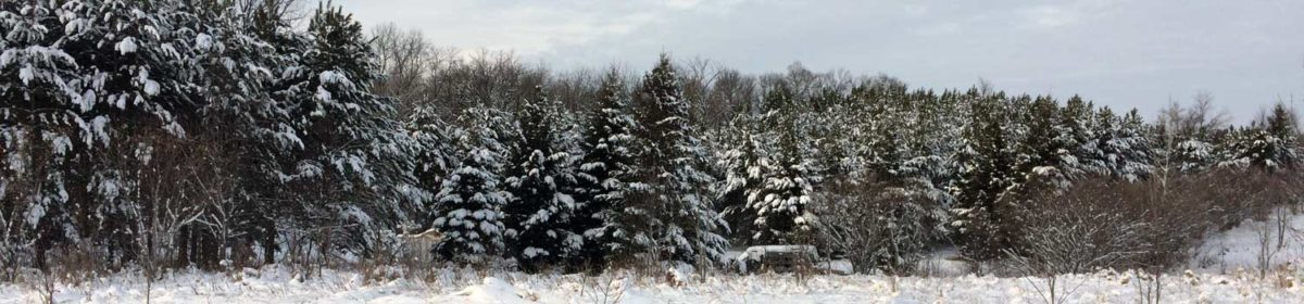 Prairie Woods Arboretum