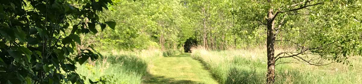 Prairie Woods Arboretum