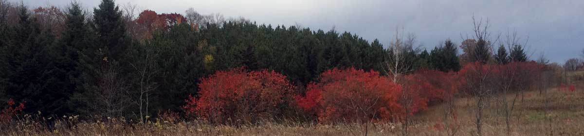 Prairie Woods Arboretum