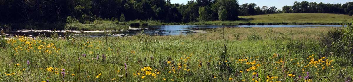 Prairie Woods Arboretum