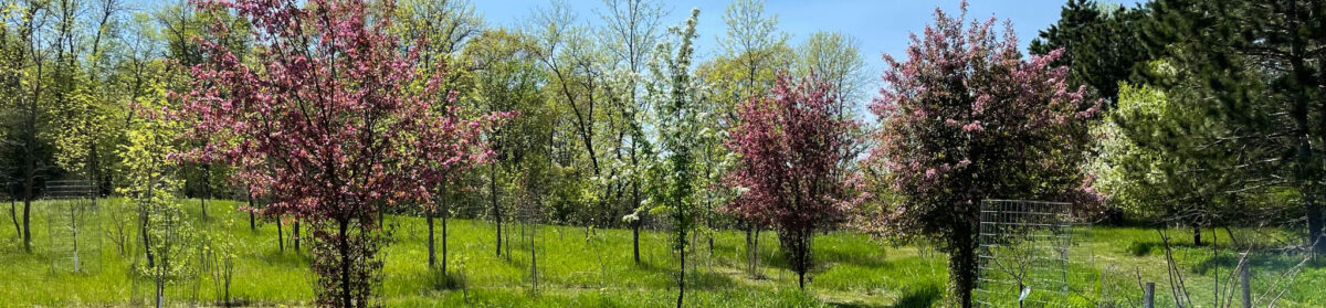 Prairie Woods Arboretum