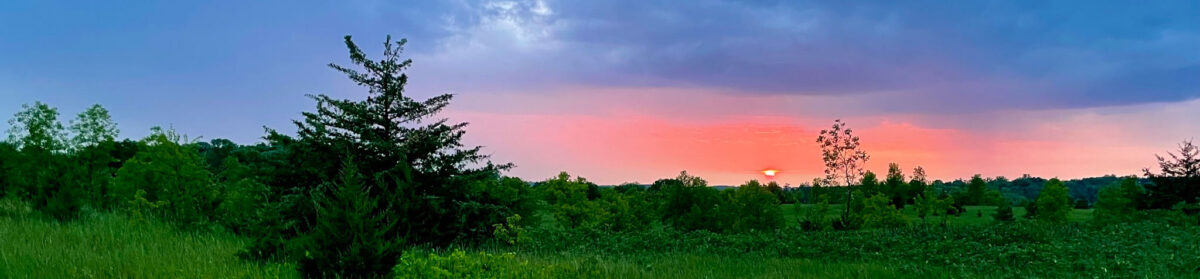 Prairie Woods Arboretum