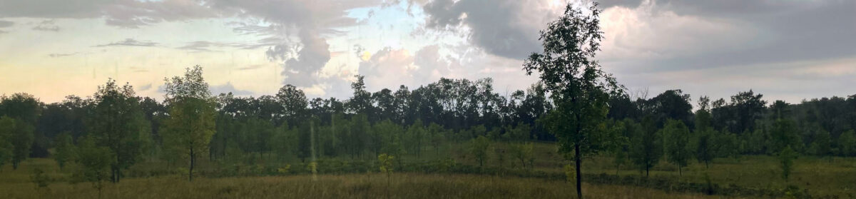 Prairie Woods Arboretum