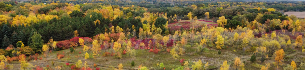 Prairie Woods Arboretum