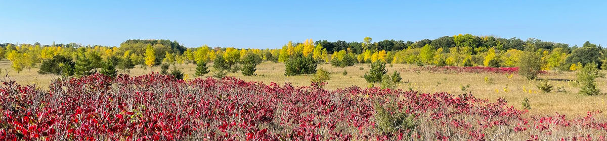 Prairie Woods Arboretum